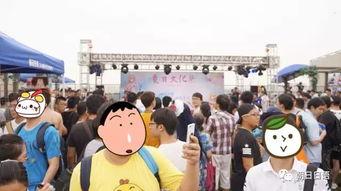 吃瓜群众在线围观朝阳,吃瓜群众在线围观大戏上演